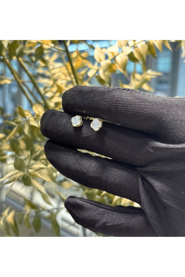 14 Ayar Altın Yonca  Beyaz Küpe