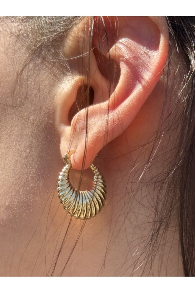 14 Ayar Altın Midye Küpe