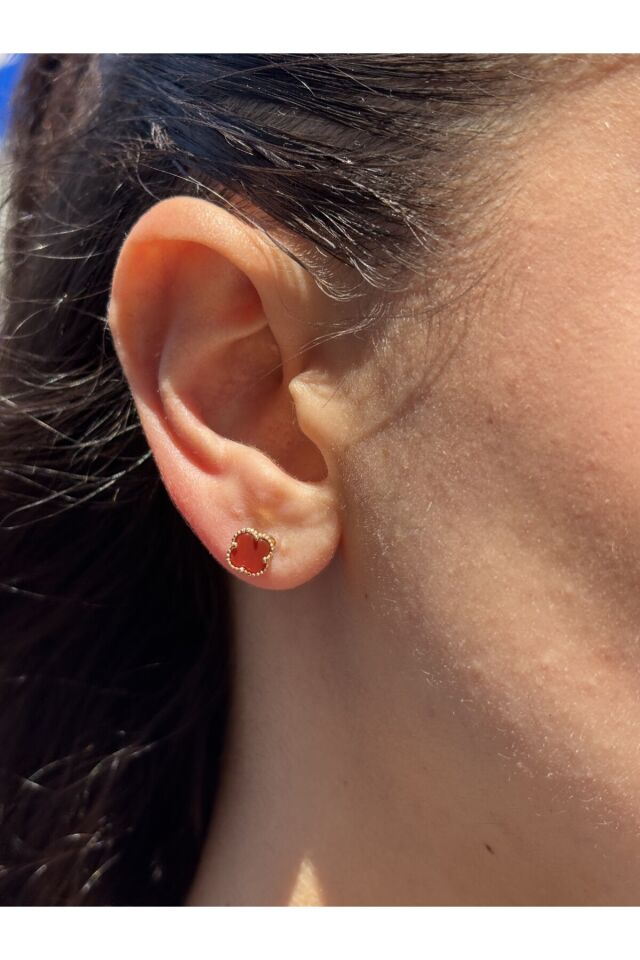 14 Ayar Altın Kırmızı Yonca Küpe