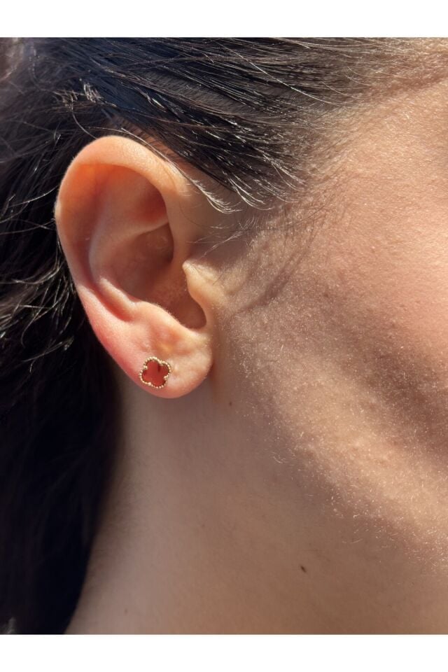 14 Ayar Altın Kırmızı Yonca Küpe