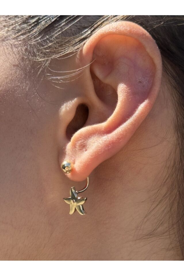 14 Ayar Altın Taşlı Deniz Yıldızı Çengel Küpe