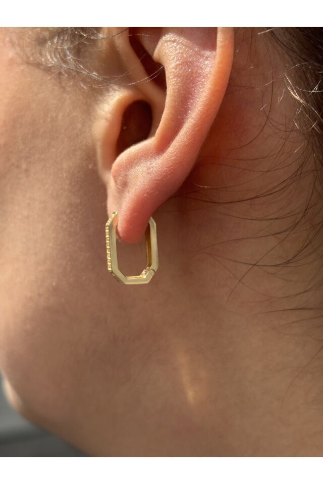 14 Ayar Altın Taşlı Ataç Küpe