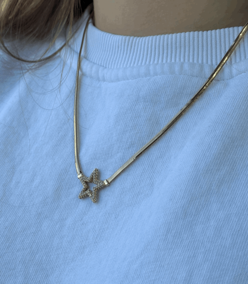 14 Ayar Altın Balıksırtı Yıldız Kolye