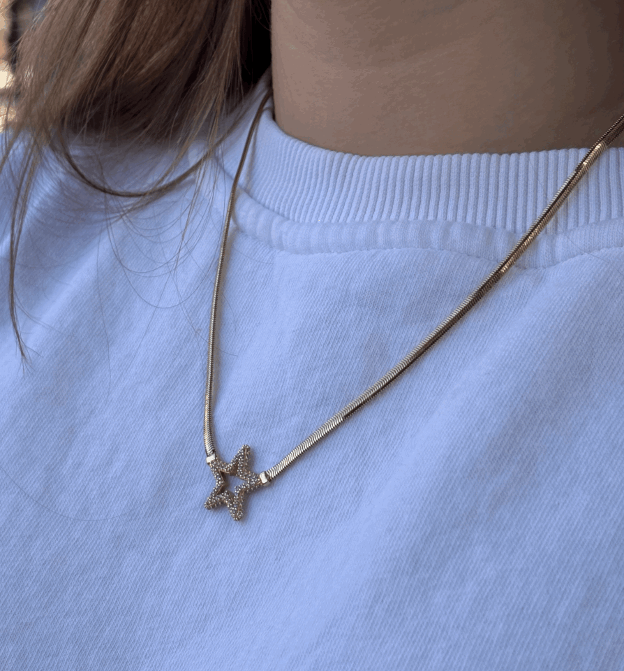 14 Ayar Altın Balıksırtı Yıldız Kolye