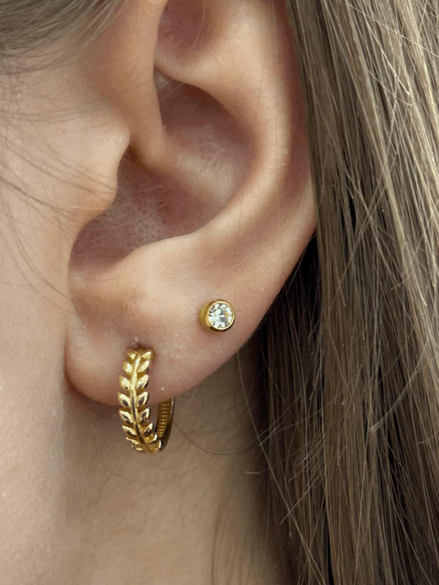 14 Ayar Altın Sezar Halka Küpe