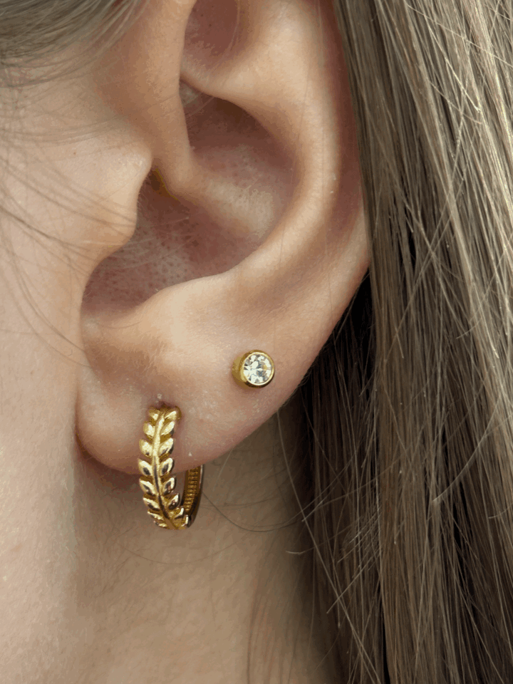 14 Ayar Altın Sezar Halka Küpe